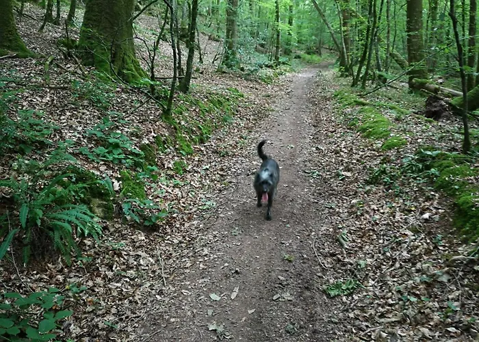 L'etable Buissonniere Kwatera prywatna